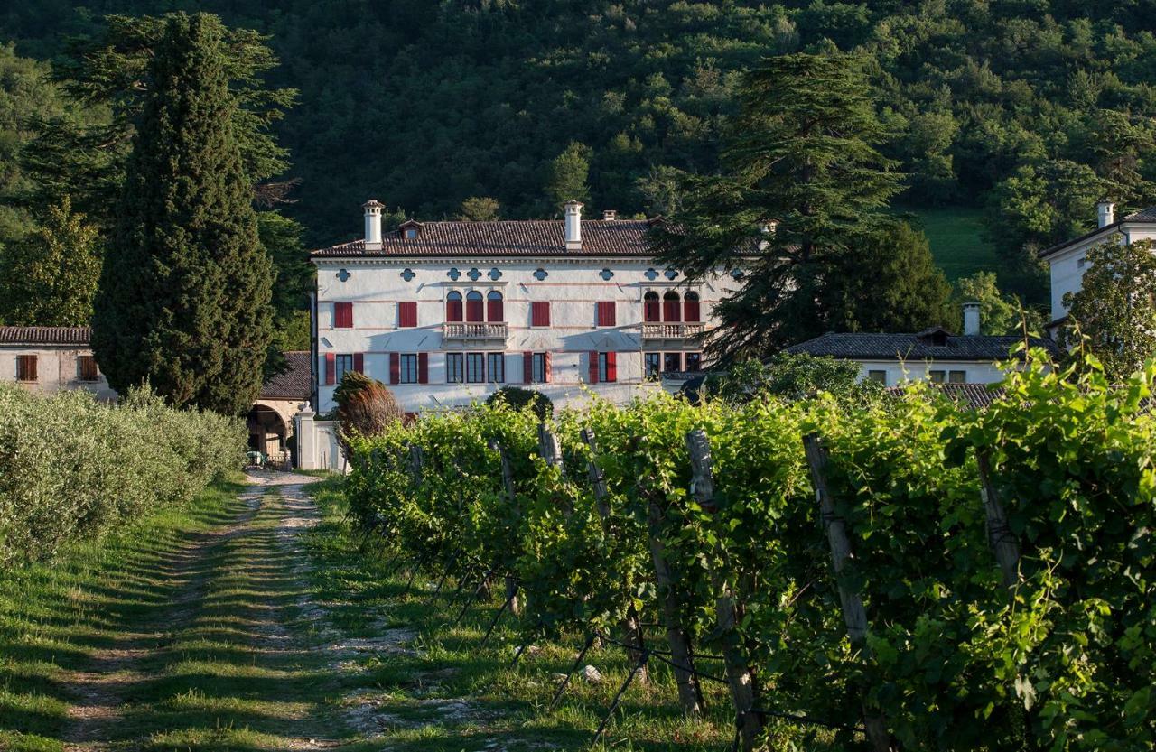 Villa Premoli - Agriturismo Di Charme Cavaso Del Tomba Exterior foto